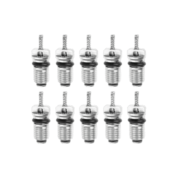 SET PEPAS ALTA PRESIÓN (10 PCS) - VÁLVULAS